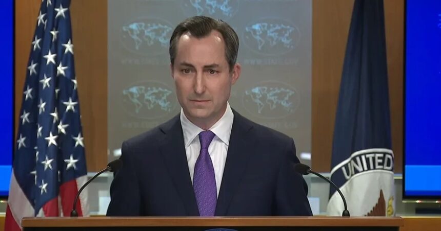 Matthew Miller 1 Kopie