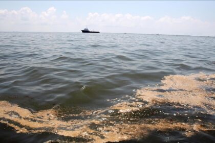 Thumbs B C Cea99109be44eefd54dbccdec77efc98