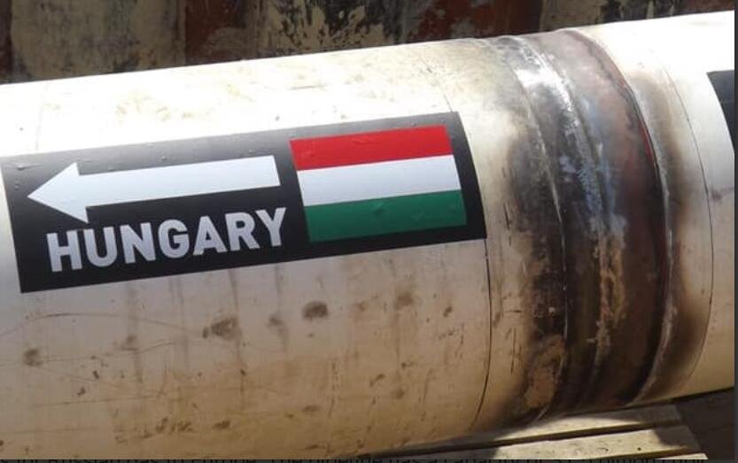 288869526 5396743537071029 8063880195390740810 N