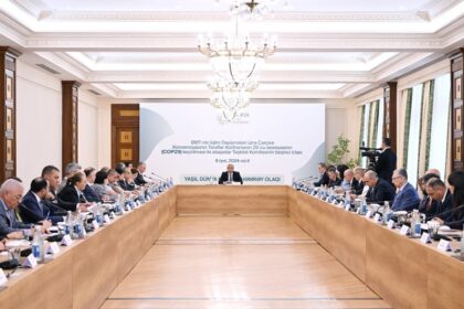 344437be 96b2 3738 8434 8c883d00f15f 850