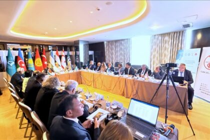 Thumbs B C 2358b25c02935691c1d5ea260e551590