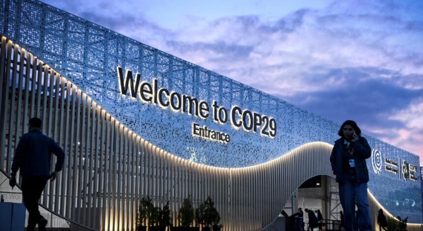 Photo 2024 11 11 11 03 46 2