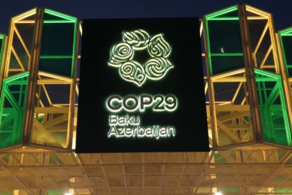 Photo 2024 11 11 11 03 46 3