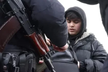 1359e190 78c6 11ef B164 99aed3e26d50.jpg