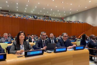 Trend Sevil Mikayilova