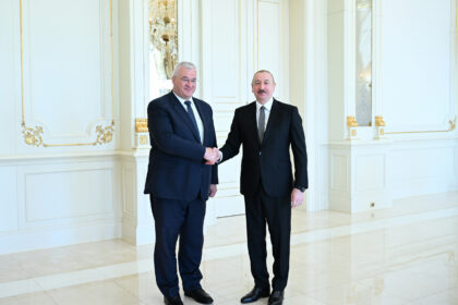 17481528362540647960 scaled