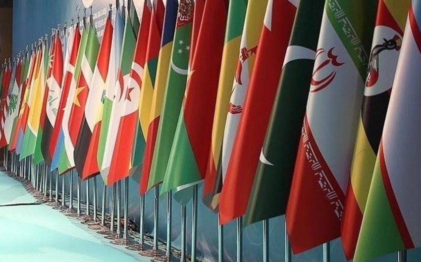 41bb4c49 2040 334b a95d ea626a9f4560 850