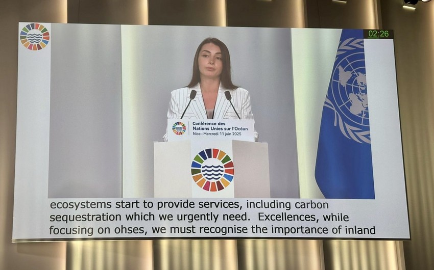 7650667c 3eb8 3106 9017 87a1a1fd8c1b 850