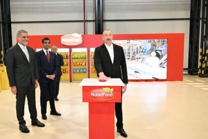 Da0fa8e9 0858 3566 85ae bfe2b8a14e10 850