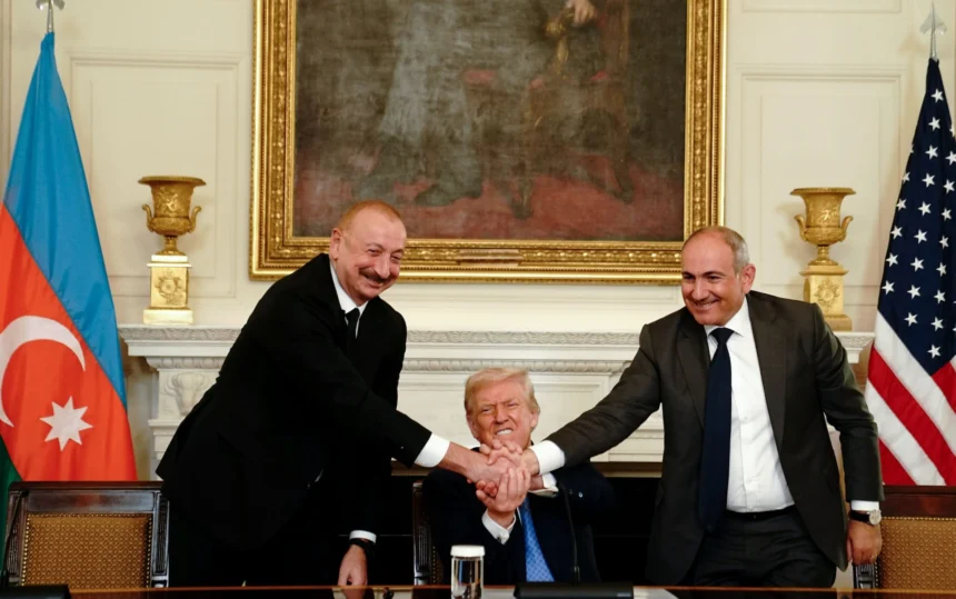 Telemmglpict000435058742 17554404894560 trans nvbqzqnjv4bqi4i1a 7tqjmxgle8m6q3up4xpit dmgvdp2n7fdd82k