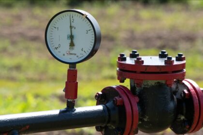 Thumbs b c e6146ed7f6afc0a4f9d18fafb8490706