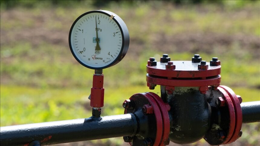 Thumbs b c e6146ed7f6afc0a4f9d18fafb8490706