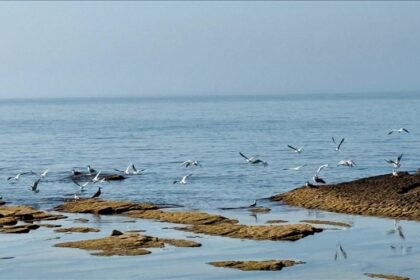 Thumbs b c e89bf7e4703c2d7f8c58dc2a602ea0a6