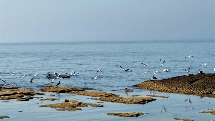 Thumbs b c e89bf7e4703c2d7f8c58dc2a602ea0a6