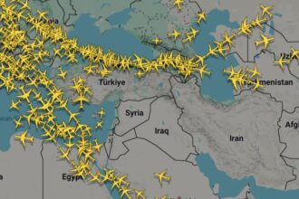 WhatsApp Image 2026 03 02 at 12.06.38