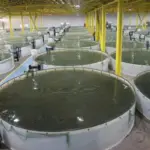 QJ9m9qaUTjKho4NQMQ4PTfRb7ykBAWVDMnL2UsSf