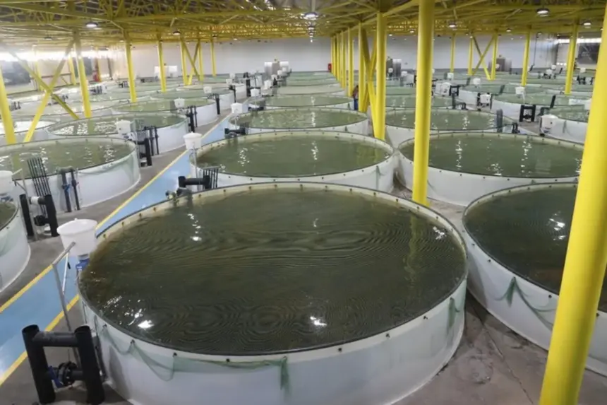 QJ9m9qaUTjKho4NQMQ4PTfRb7ykBAWVDMnL2UsSf